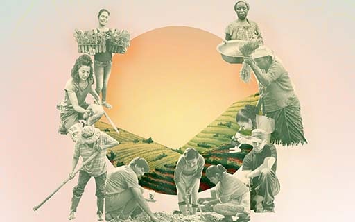 Agriculture: BIC underscores role of farmers in policymaking