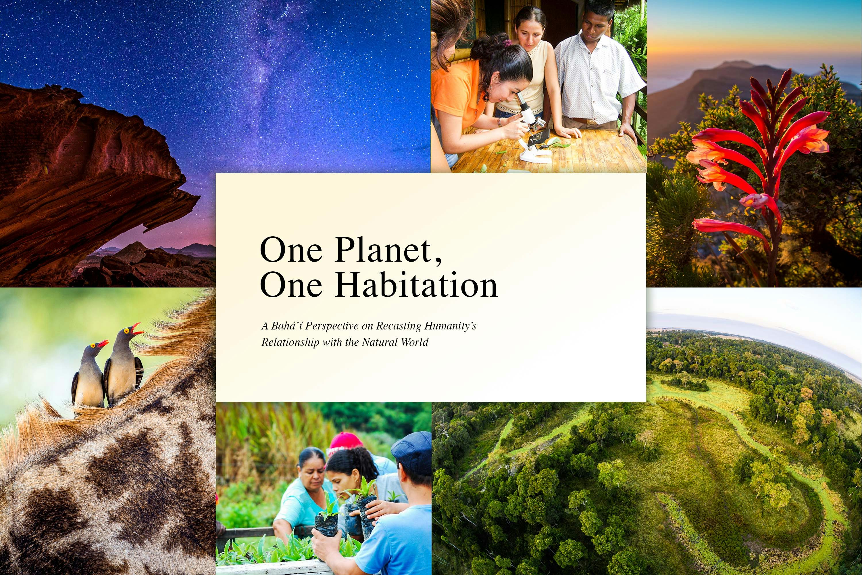 BIC New York: Recasting humanity’s relationship with natural world