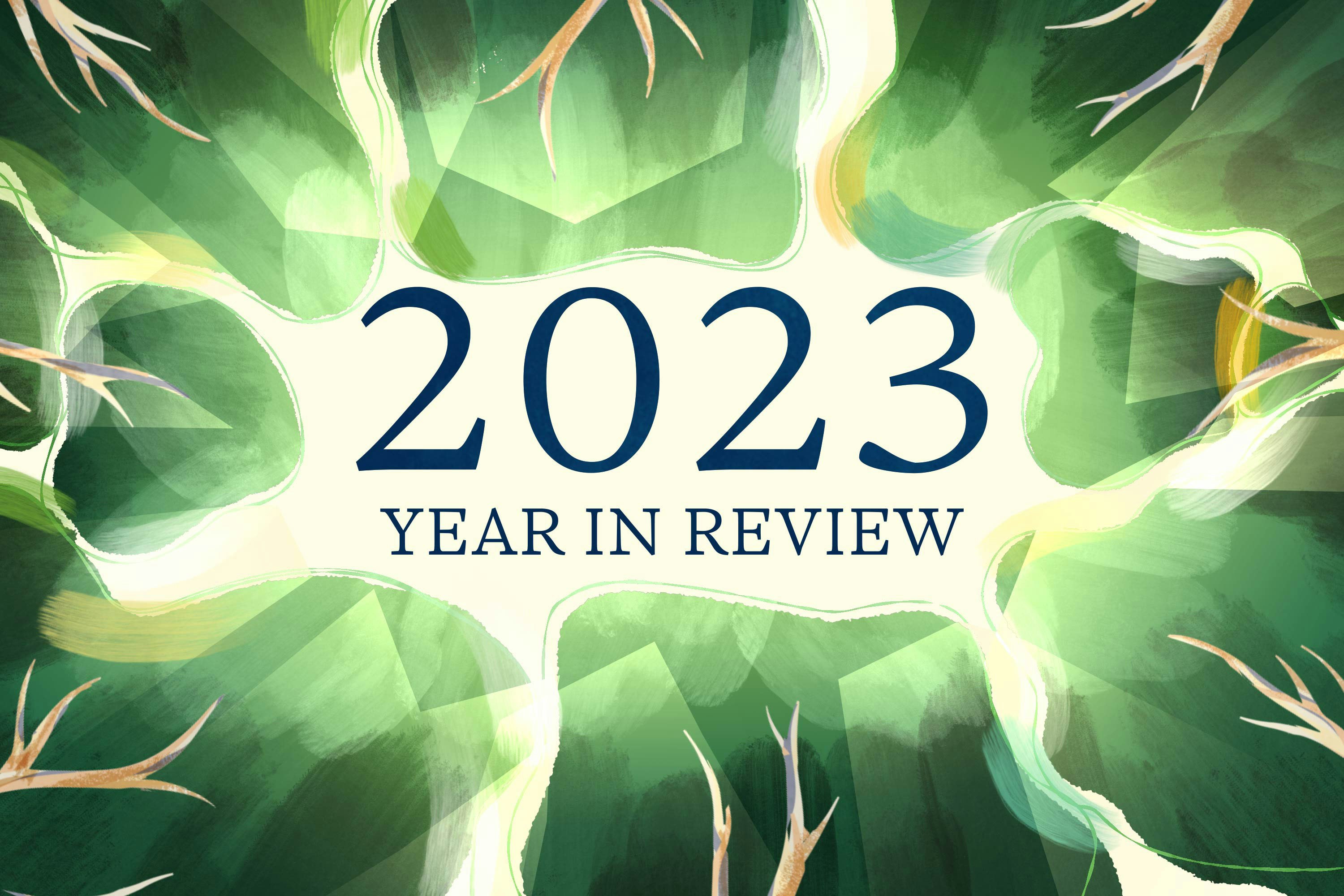 2023: Year in Review