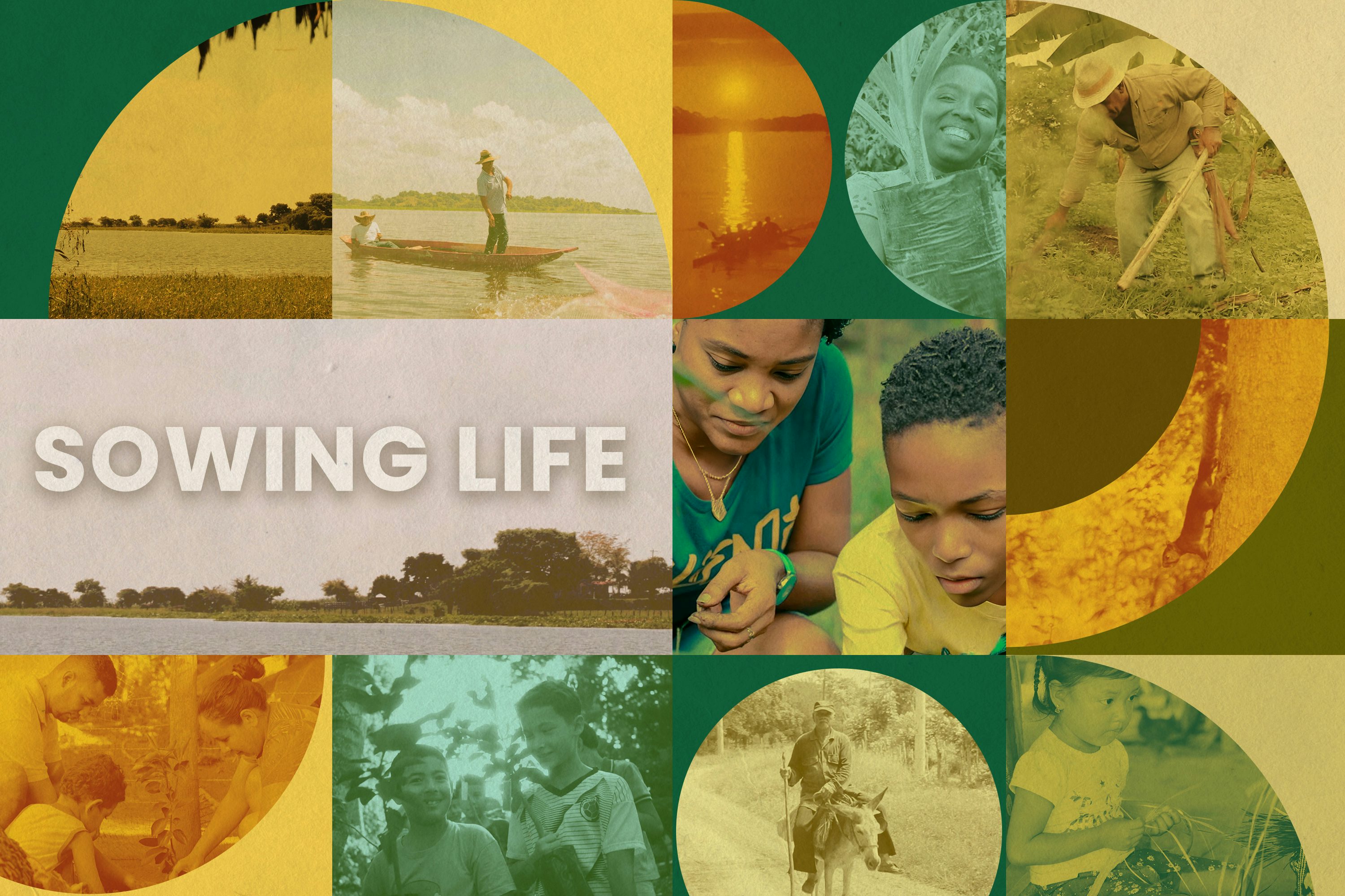 Colombia: New film highlights efforts toward environmental restoration