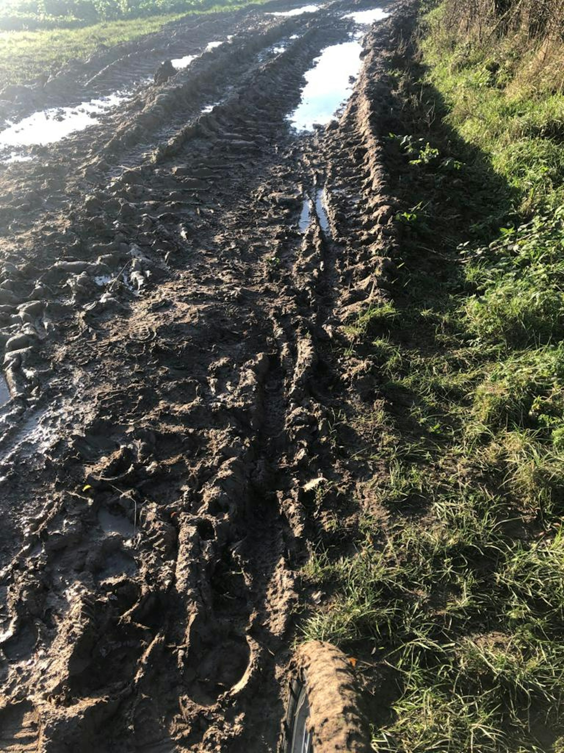 Muddy trail with large tractor tracks