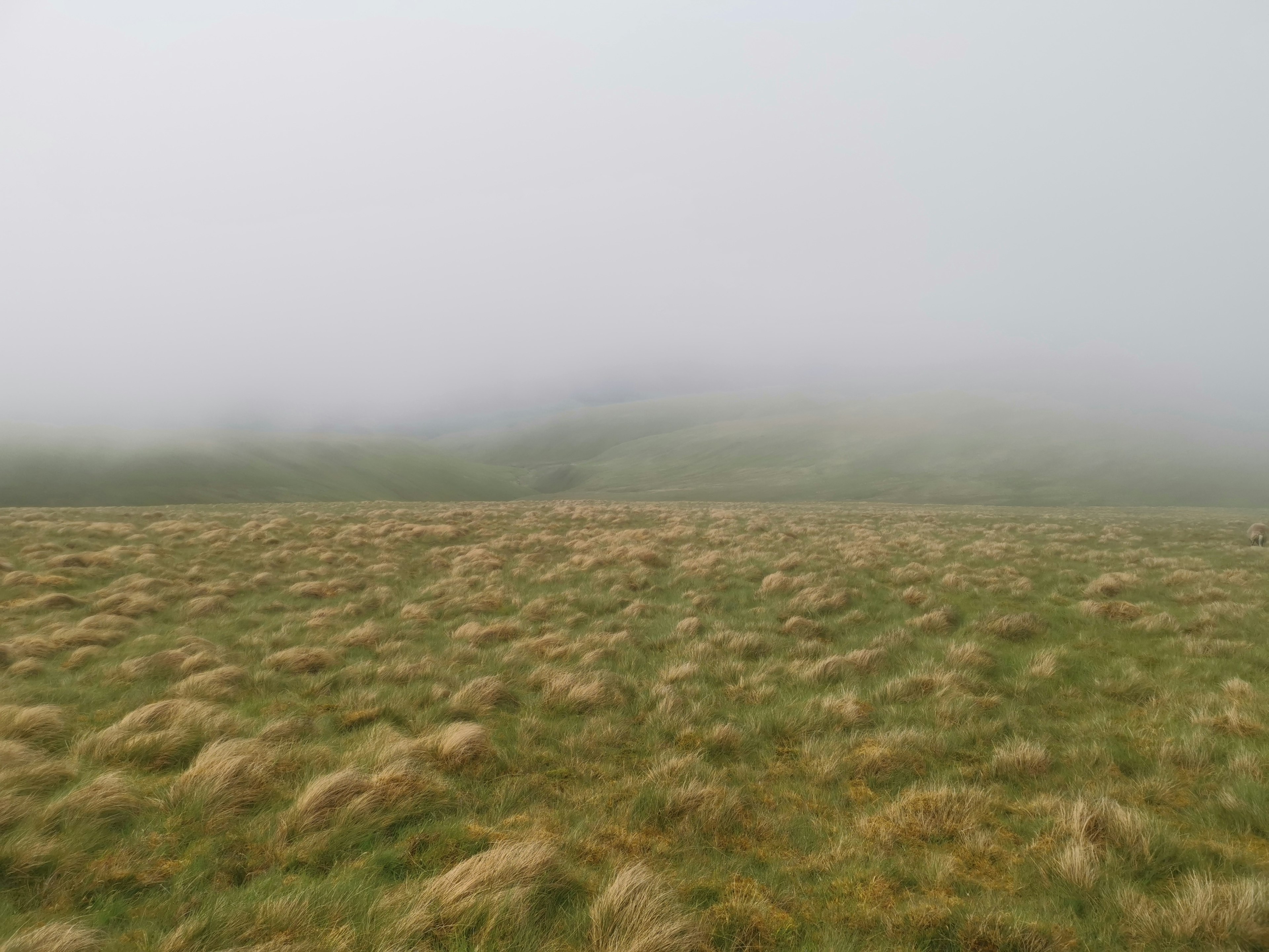 Mungrisdale Common View