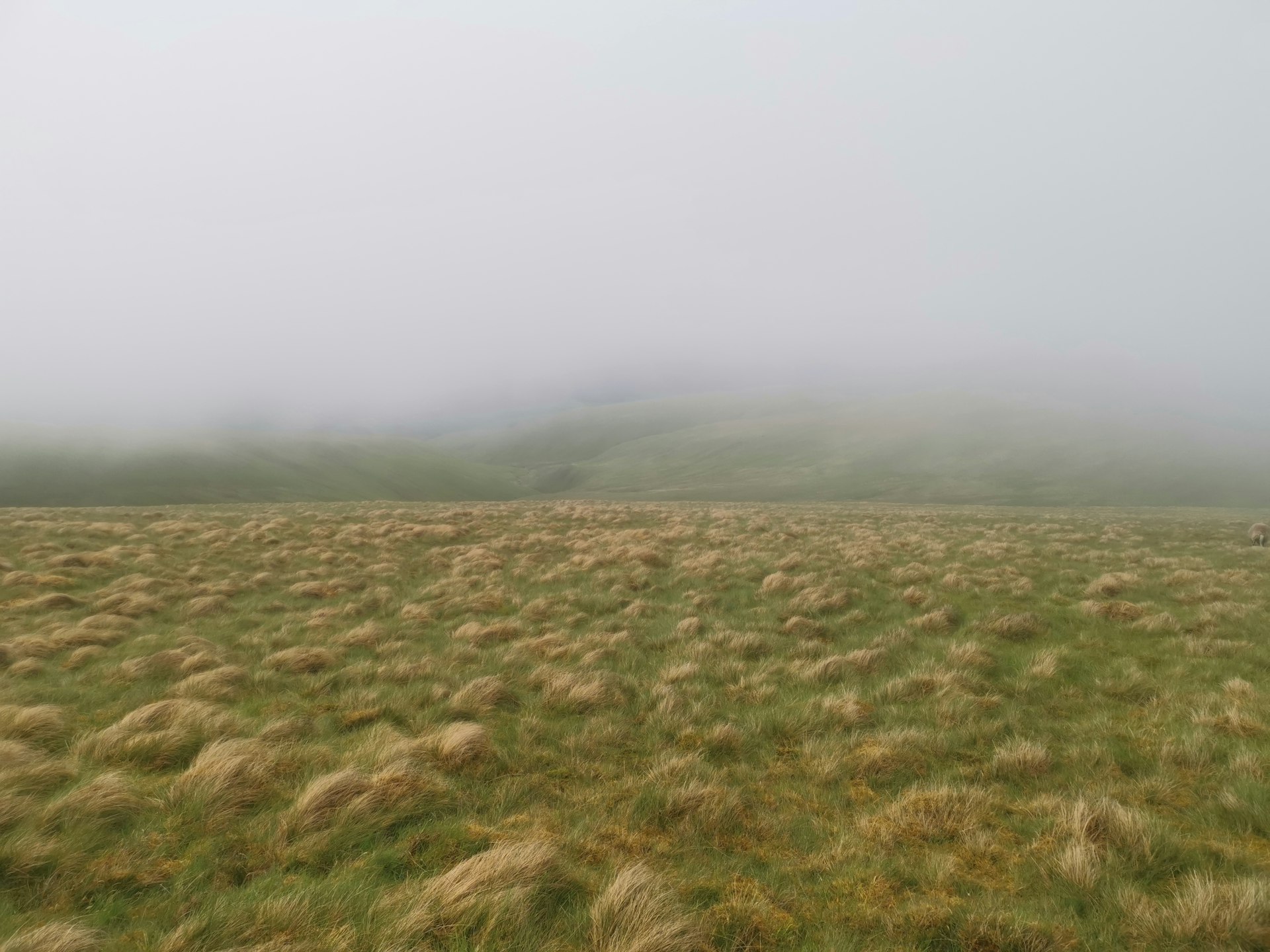 Mungrisdale Common View Mungrisdale Common View