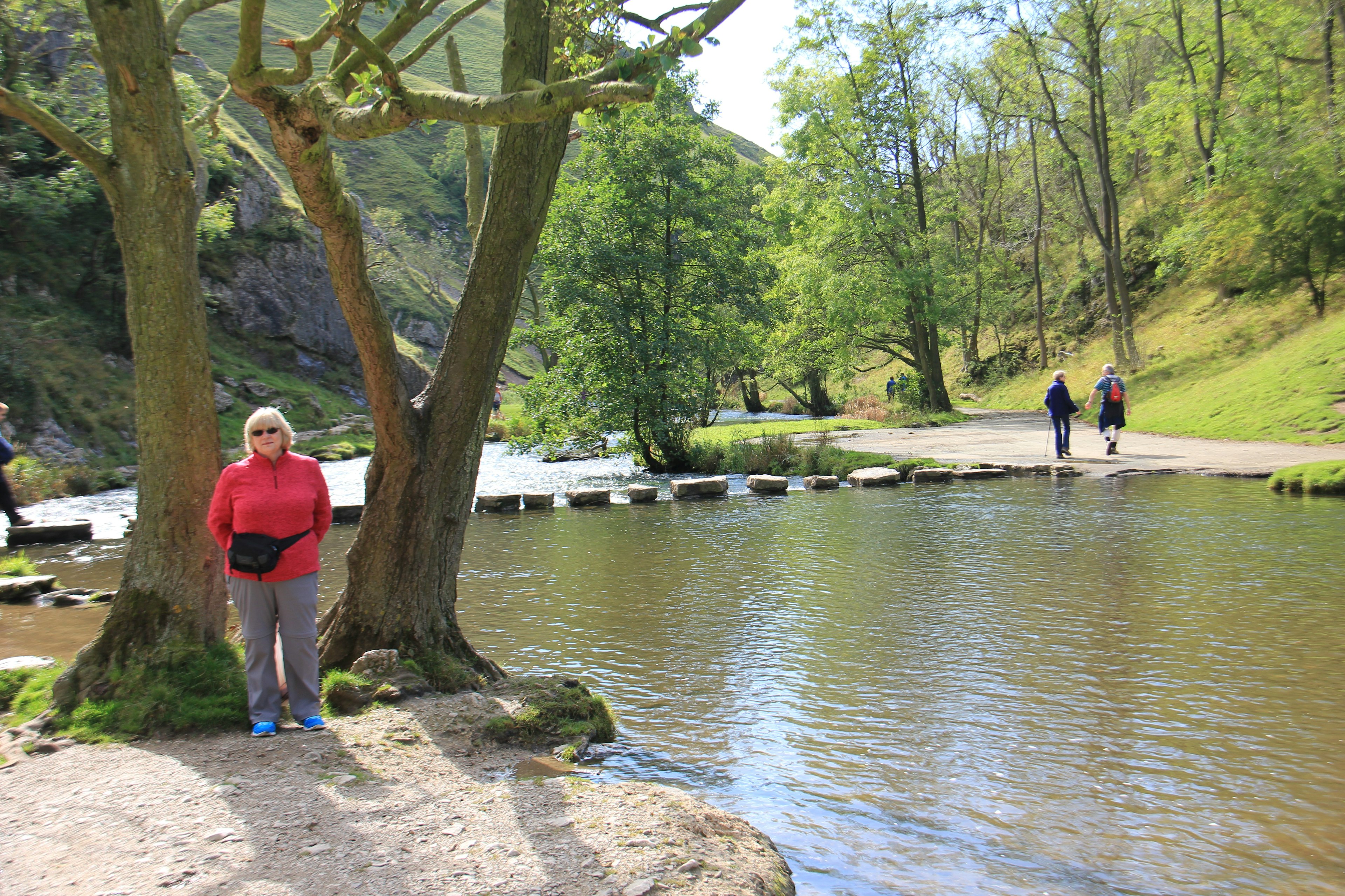 STEPPING STONES