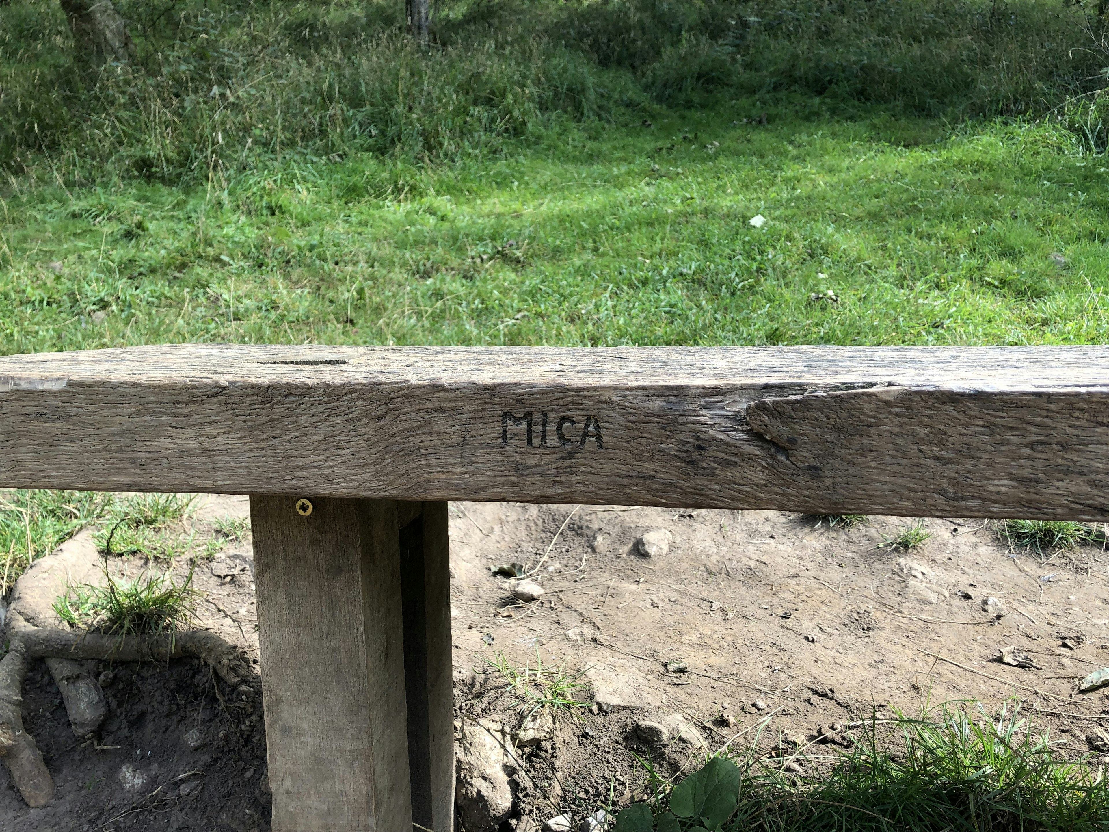 mica b
