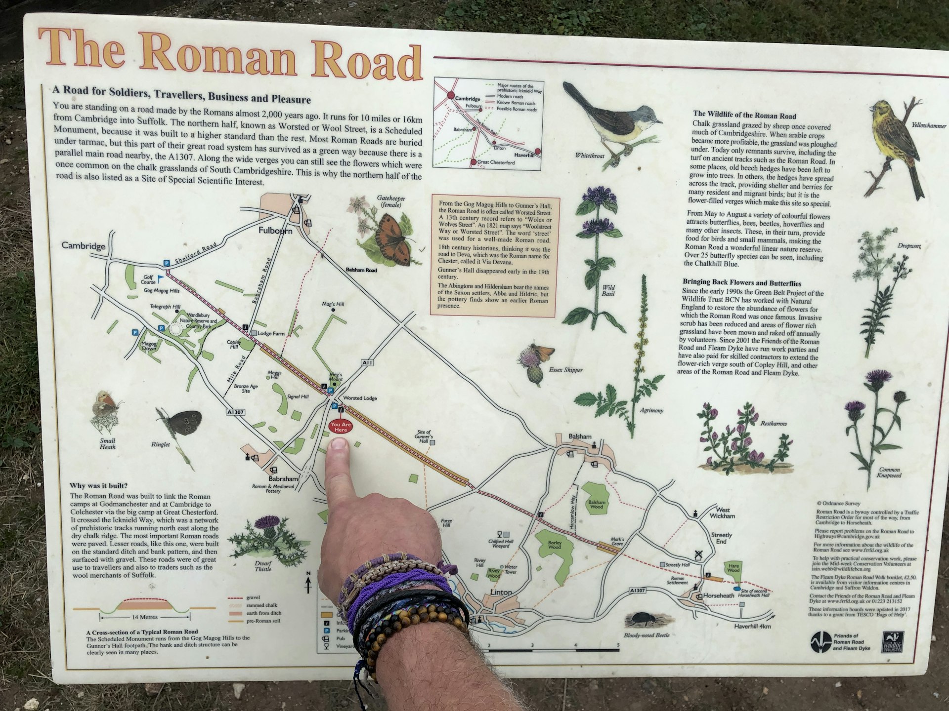 rrm rrm