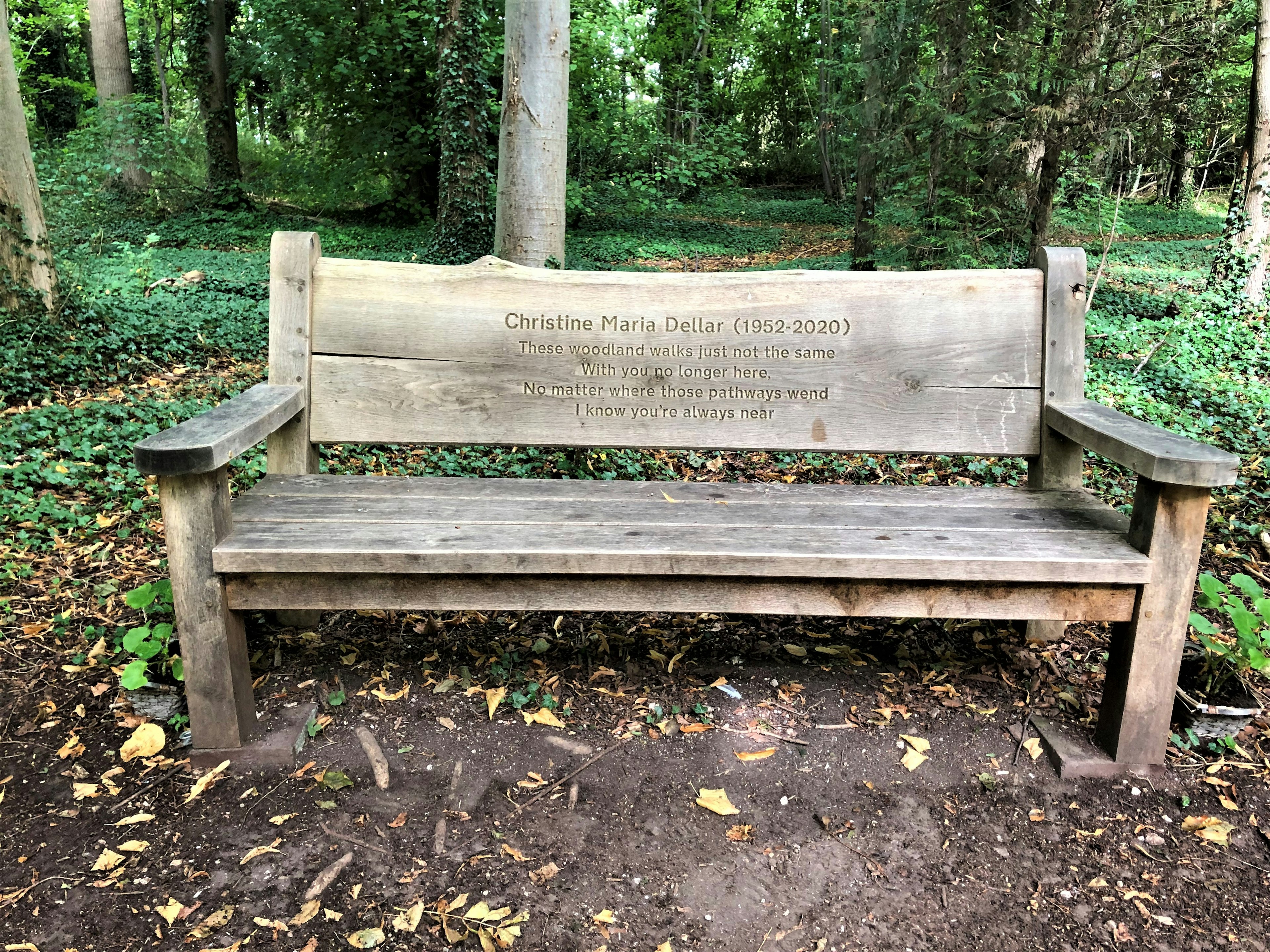 mem bench