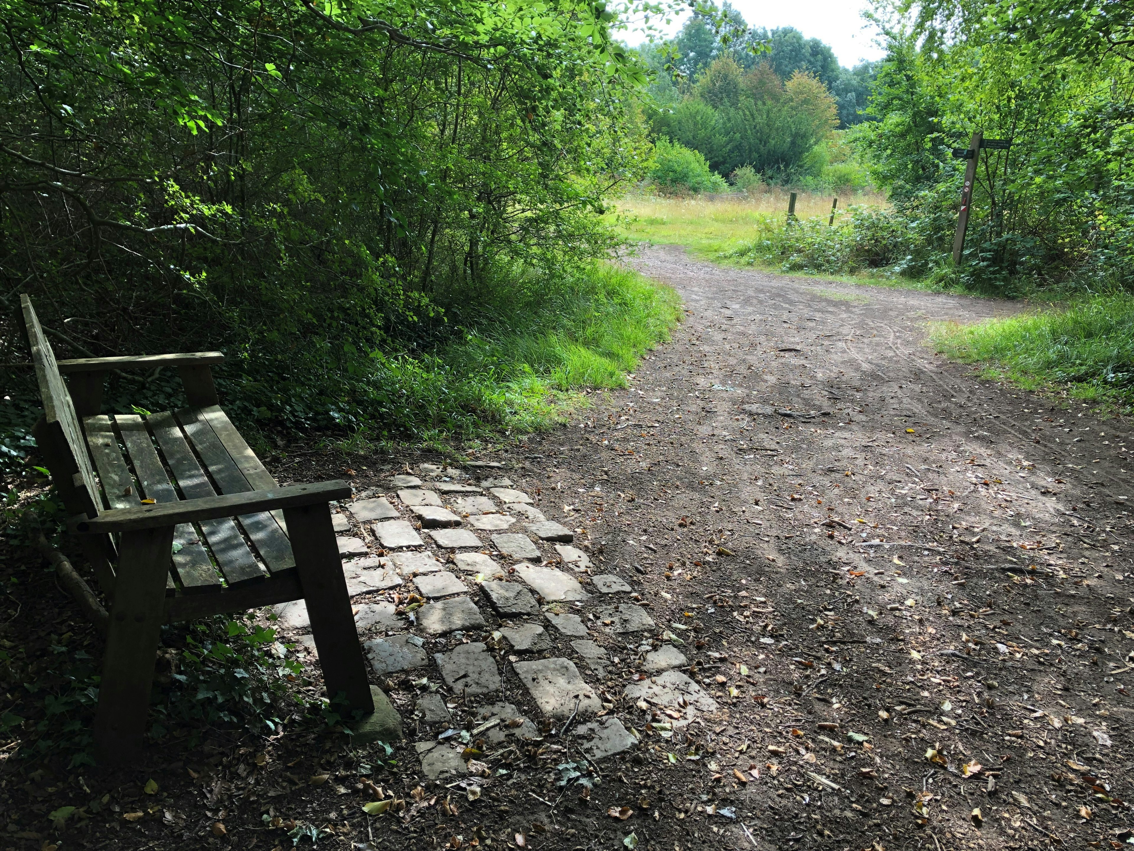 wb bench