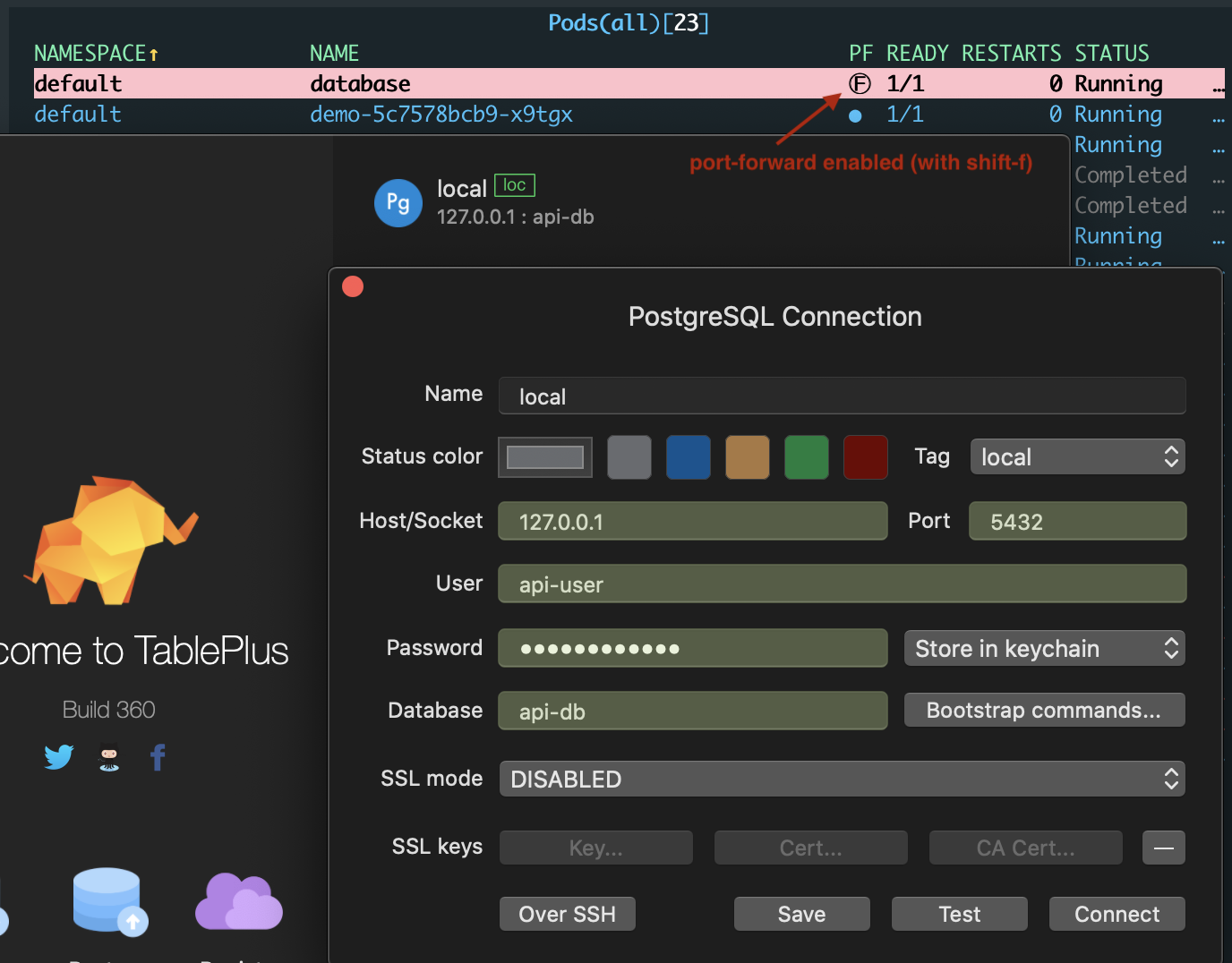 Figure 4: TablePlus connecting to database with k9s port-forward