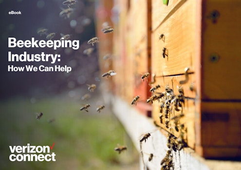 1556749361 beekeeping ebookau