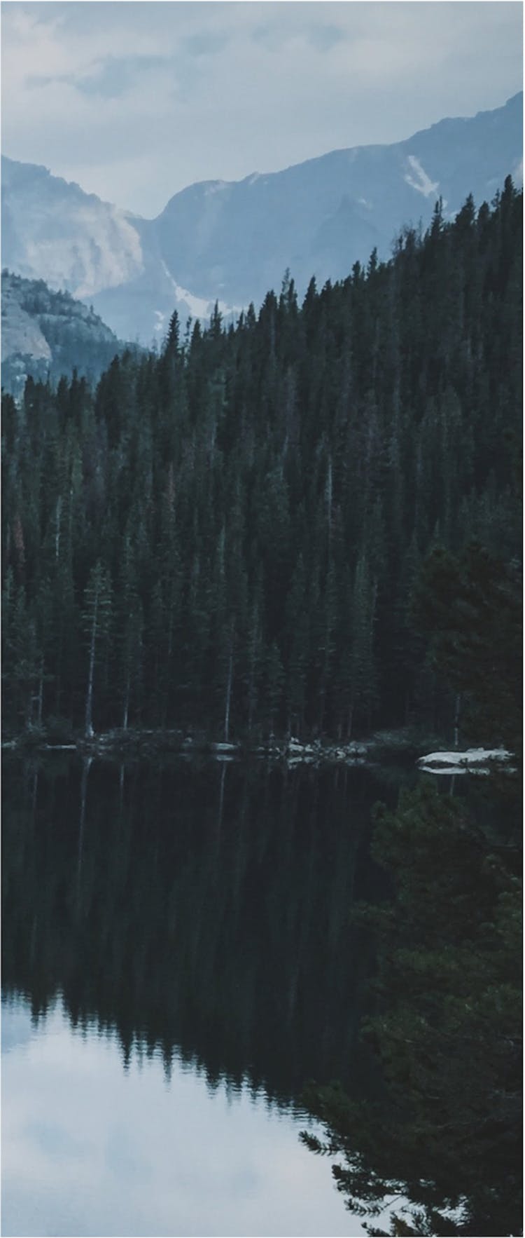 Image of beautiful forrest surrounded by water