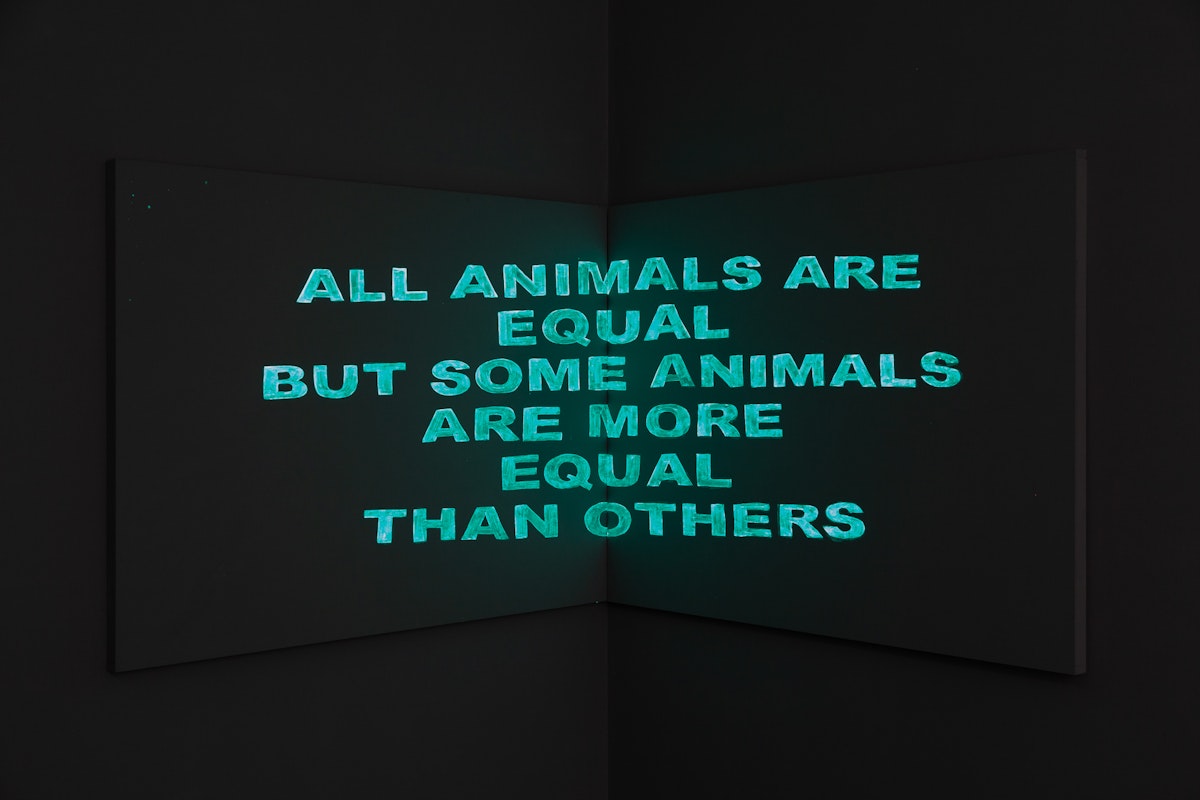 Installation view of Great Movements of Feeling, 2018, curated by Zara Sigglekow, featuring work by Megan Cope at Gertrude Contemporary. Photo: Christo Crocker.
