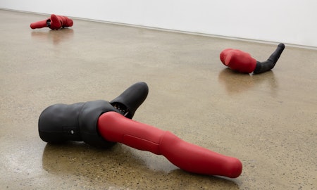 Mathieu Briand, unheimlich, 2018, installation at Gertrude Glasshouse. Photo: Christo Crocker.