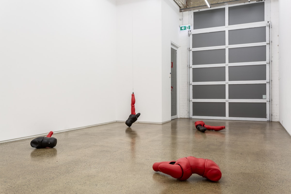 Mathieu Briand, unheimlich, 2018, installation at Gertrude Glasshouse. Photo: Christo Crocker.
