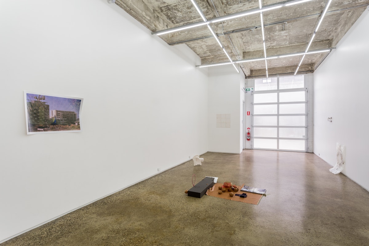 Brooke Babbington, AFFIDAVIT VITO ACCONCI, 2016, installation at Gertrude Glasshouse. Photo: Christo Crocker.