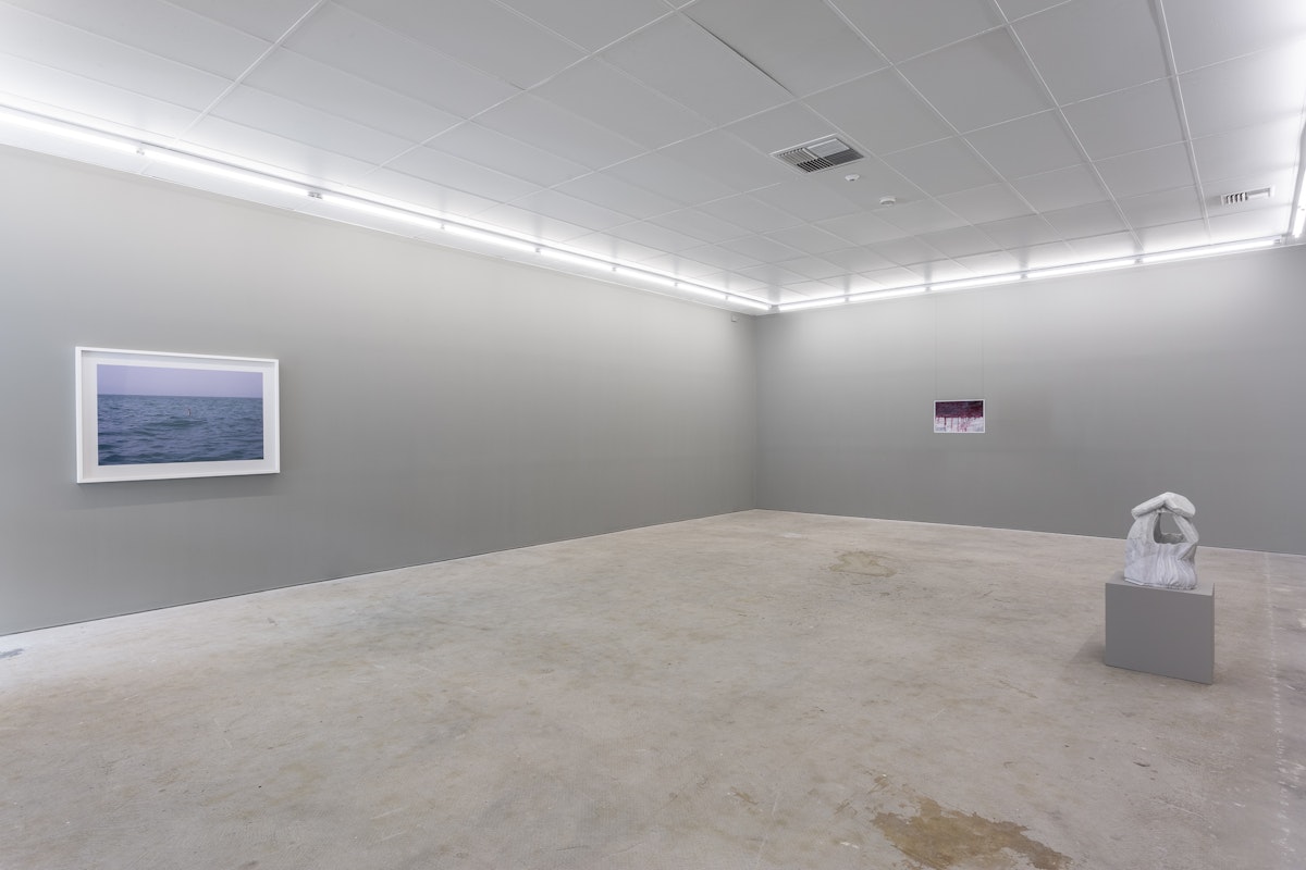 Installation view of Hope Dies Last: Art at the End of Optimism, 2019, curated by Mark Feary, featuring work by Todd McMillan, Myuran Sukumaran and Alex Seton at Gertrude Contemporary. Photo: Christo Crocker 