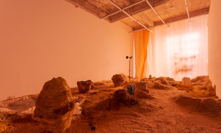 Isadora Vaughan, Bilirubin Bezoar, 2019, installation at Gertrude Glasshouse.