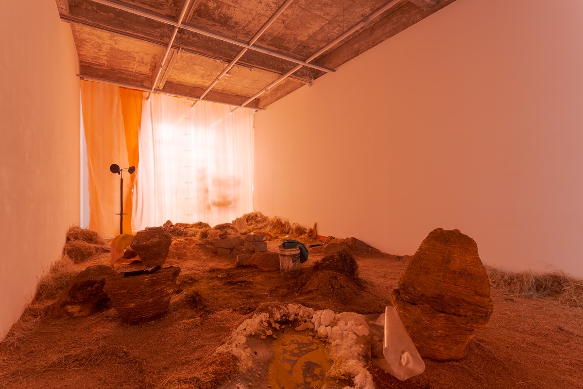 Isadora Vaughan, Bilirubin Bezoar, 2019, installation at Gertrude Glasshouse.