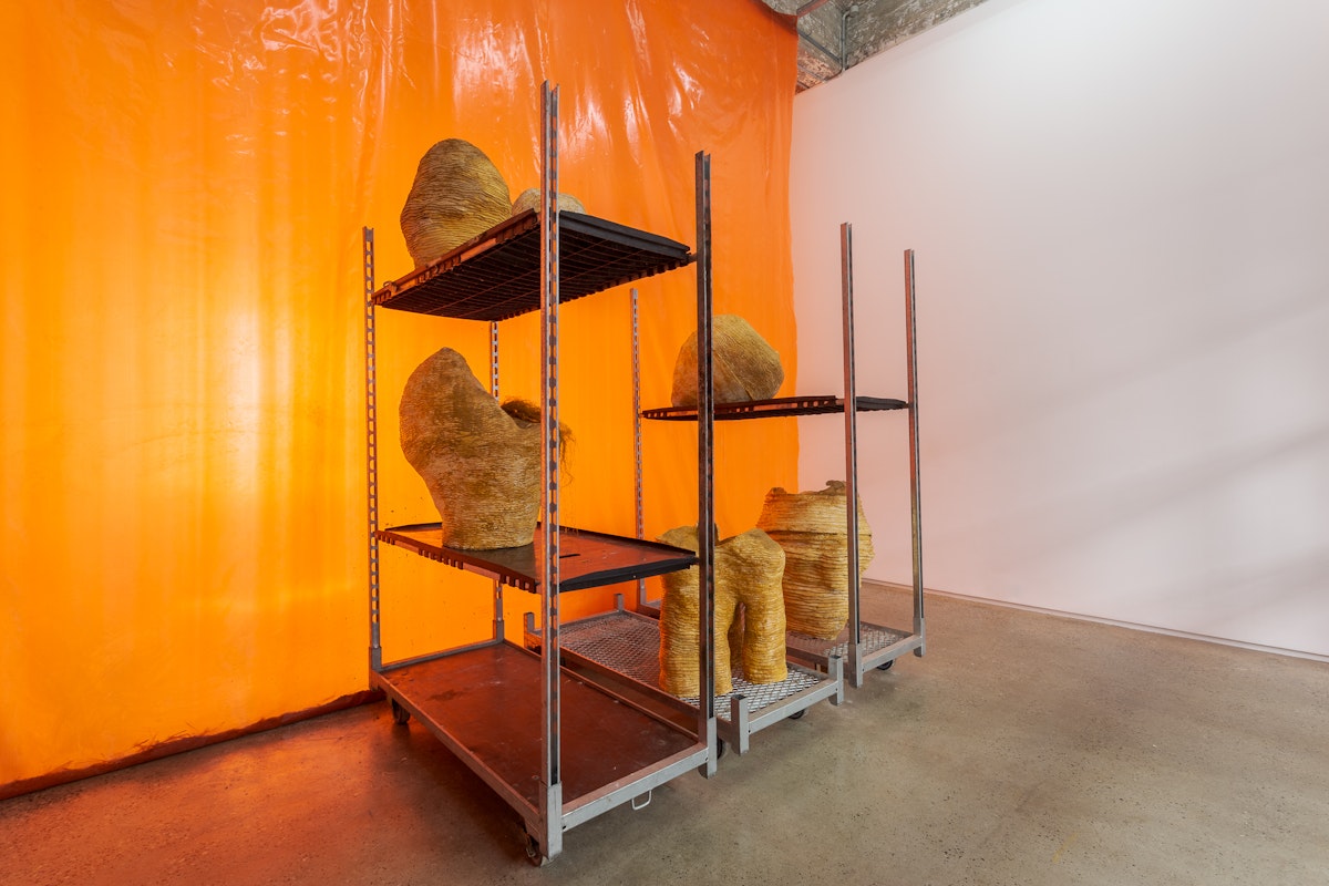 Isadora Vaughan, Bilirubin Bezoar, 2019, installation at Gertrude Glasshouse.