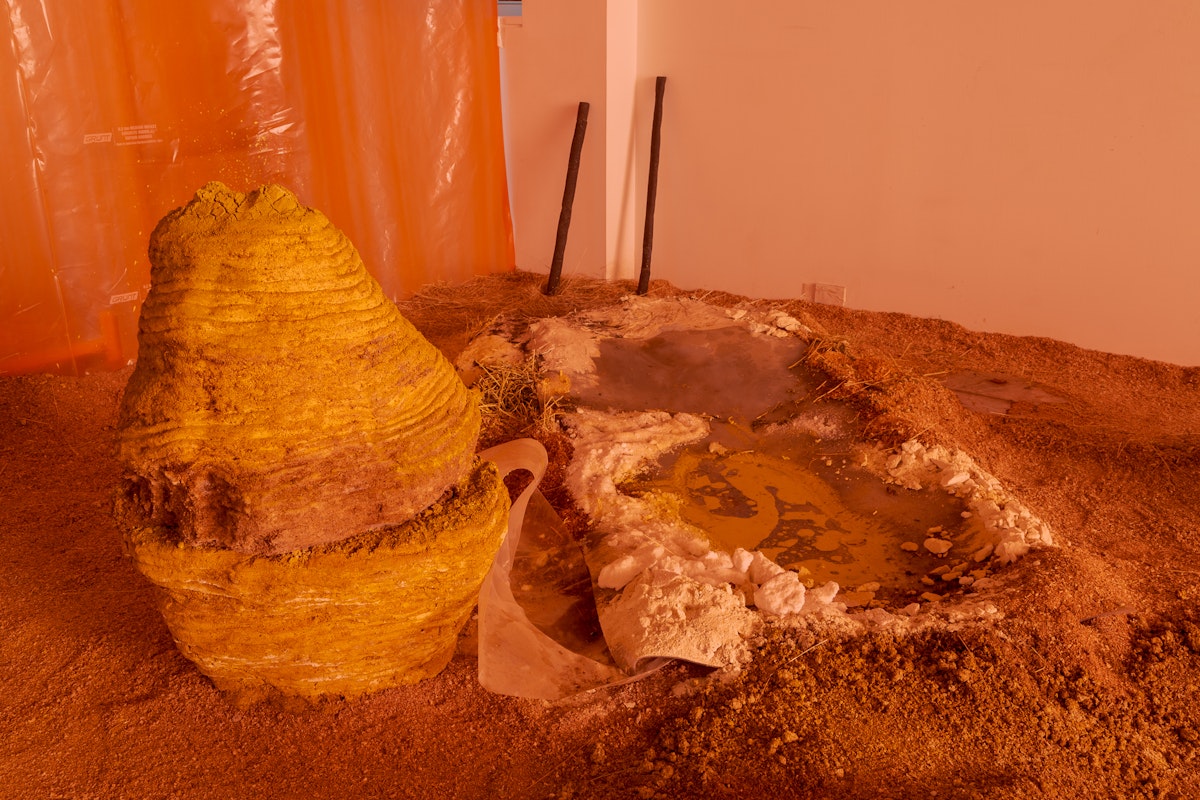 Isadora Vaughan, Bilirubin Bezoar, 2019, installation at Gertrude Glasshouse.