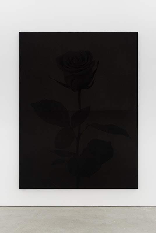 Greatest Hits, Untitled (Black Rose), 2017, presented as part of Gertrude Studios 2017 at Gertrude Contemporary. Photo: Christo Crocker.