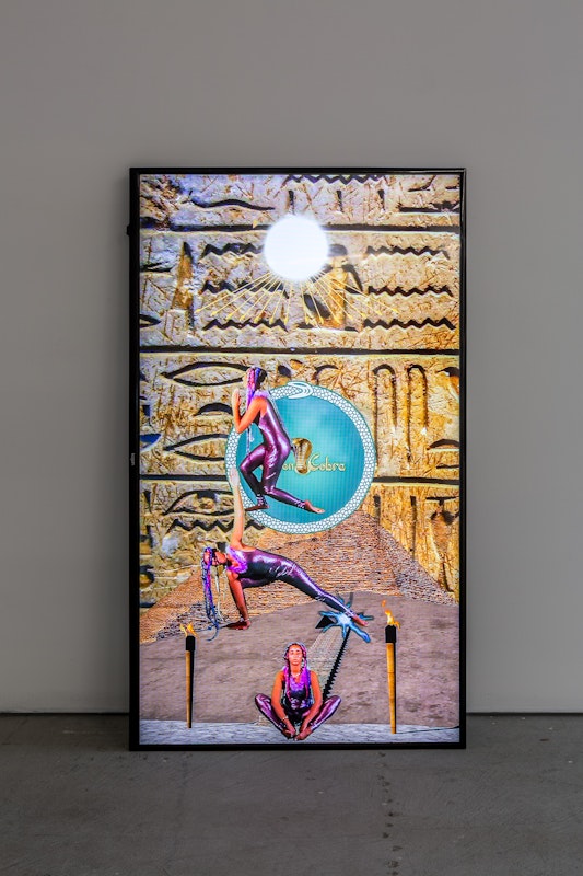 Tabita Rezaire, Peaceful Warrior, 2015, presented as part of Octopus 17: Forever Transformed, curated by Georgie Meagher at Gertrude Contemporary. Photo: Christo Crocker.