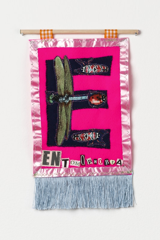 Paul Yore, Entomophonia, 2016, Gertrude Edition 2016, courtesy of the artist and STATION, Naarm Melbourne and Sydney.