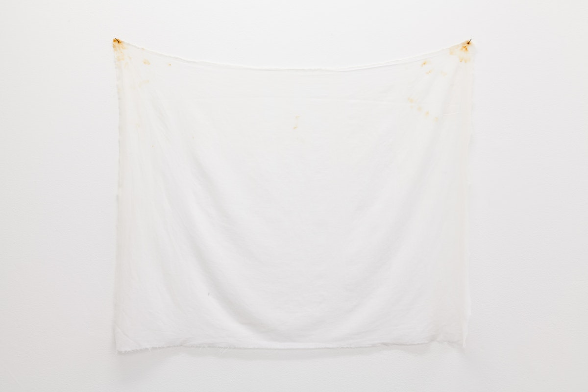 Charlie Sofo, ( ), 2014, installation at Gertrude Contemporary. Image courtesy of the Gertrude Contemporary archives.