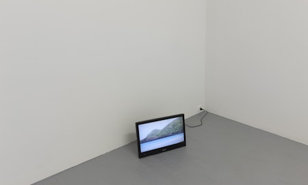 George Egerton-Warburton, Dog, 2013, installation at Gertrude Contemporary. Photo: Mark Ashkanasy.