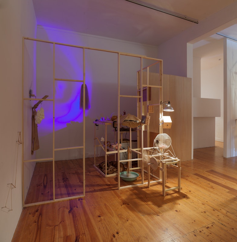 Mish Meijers and Tricky Walsh, The Collector 12: Paroxysm, 2014, installation at Gertrude Contemporary. Image courtesy of the Gertrude Contemporary archives.