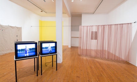 Loosely Speaking, curated by Pip Wallis, 2013, at Gertrude Contemporary.