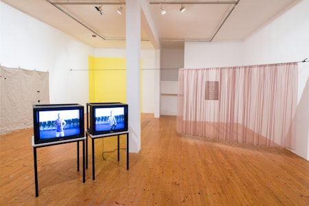 Loosely Speaking, curated by Pip Wallis, 2013, at Gertrude Contemporary.