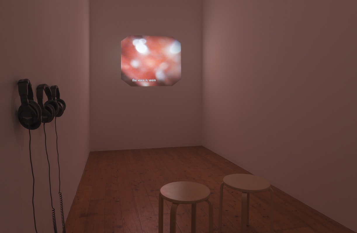 Vocal Folds, 2013, installation at Gertrude Contemporary. 