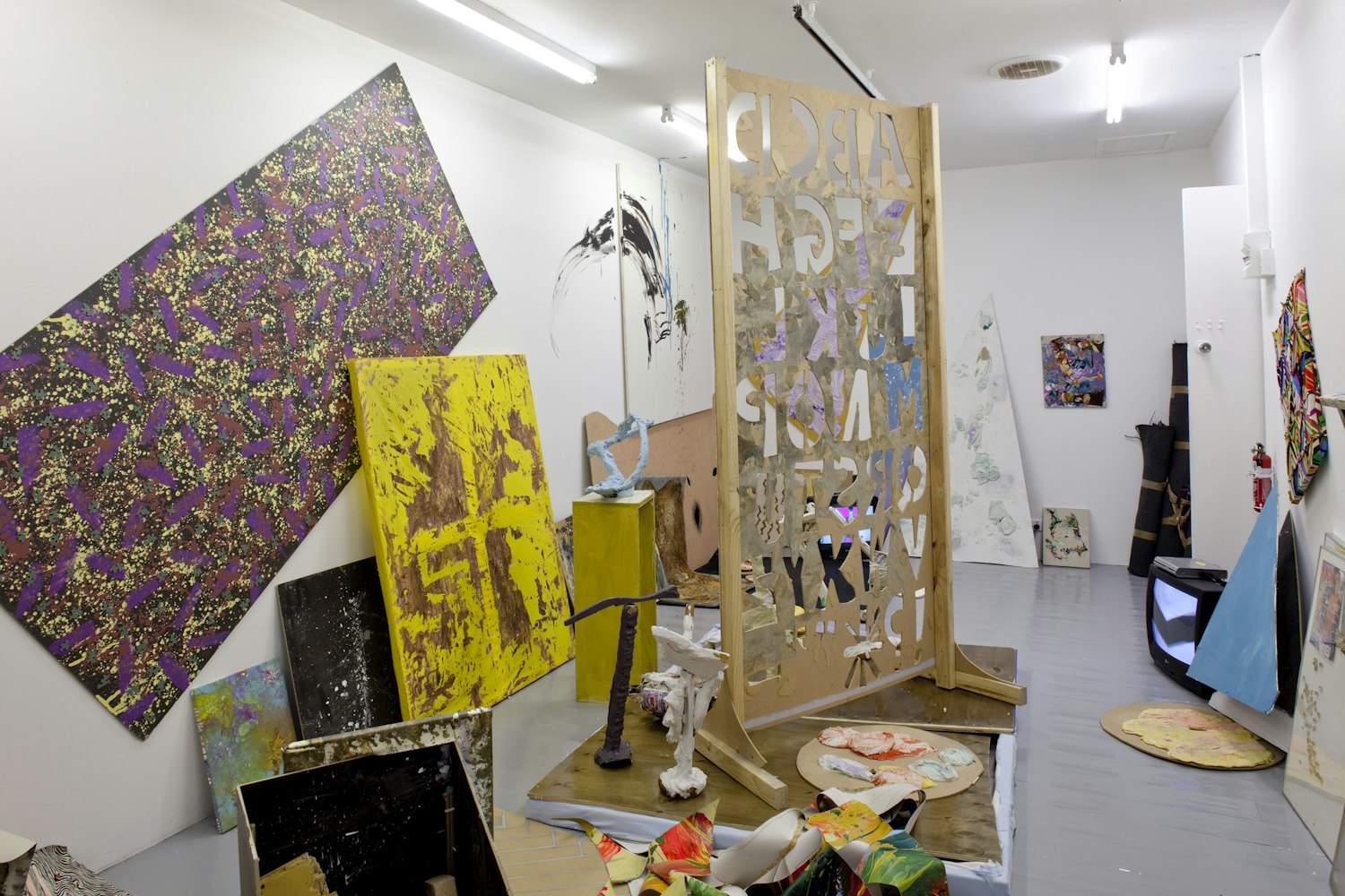Geoff Newton, Jaded Technicolour Dreams, Studio 12, Gertrude Contemporary, 2009.