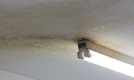 Jackson Slattery, Studio 12, Gertrude Contemporary, 2009.