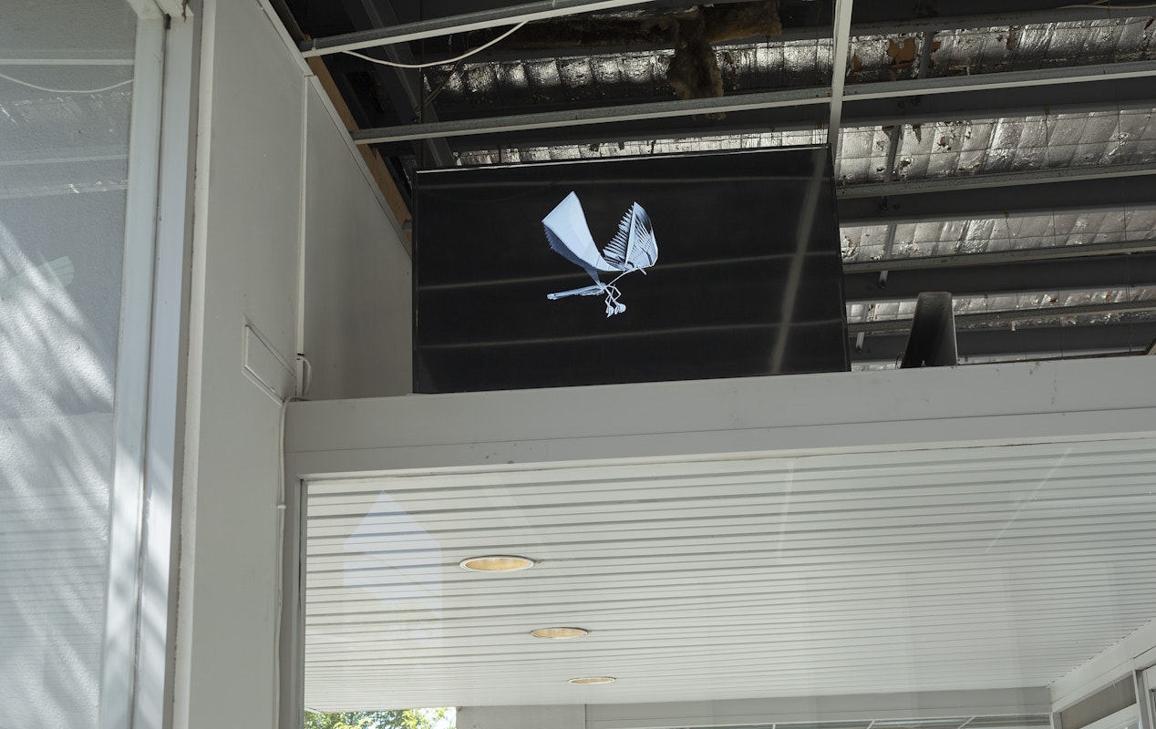 Mikala Dwyer with Gina Moore, 'Pigeon,' 2021 presented as part of Gertrude Studios 2021: If Not At Arm's Length, curated by Tim Riley Walsh at Gertrude Contemporary.  Photo: Christian Capurro.