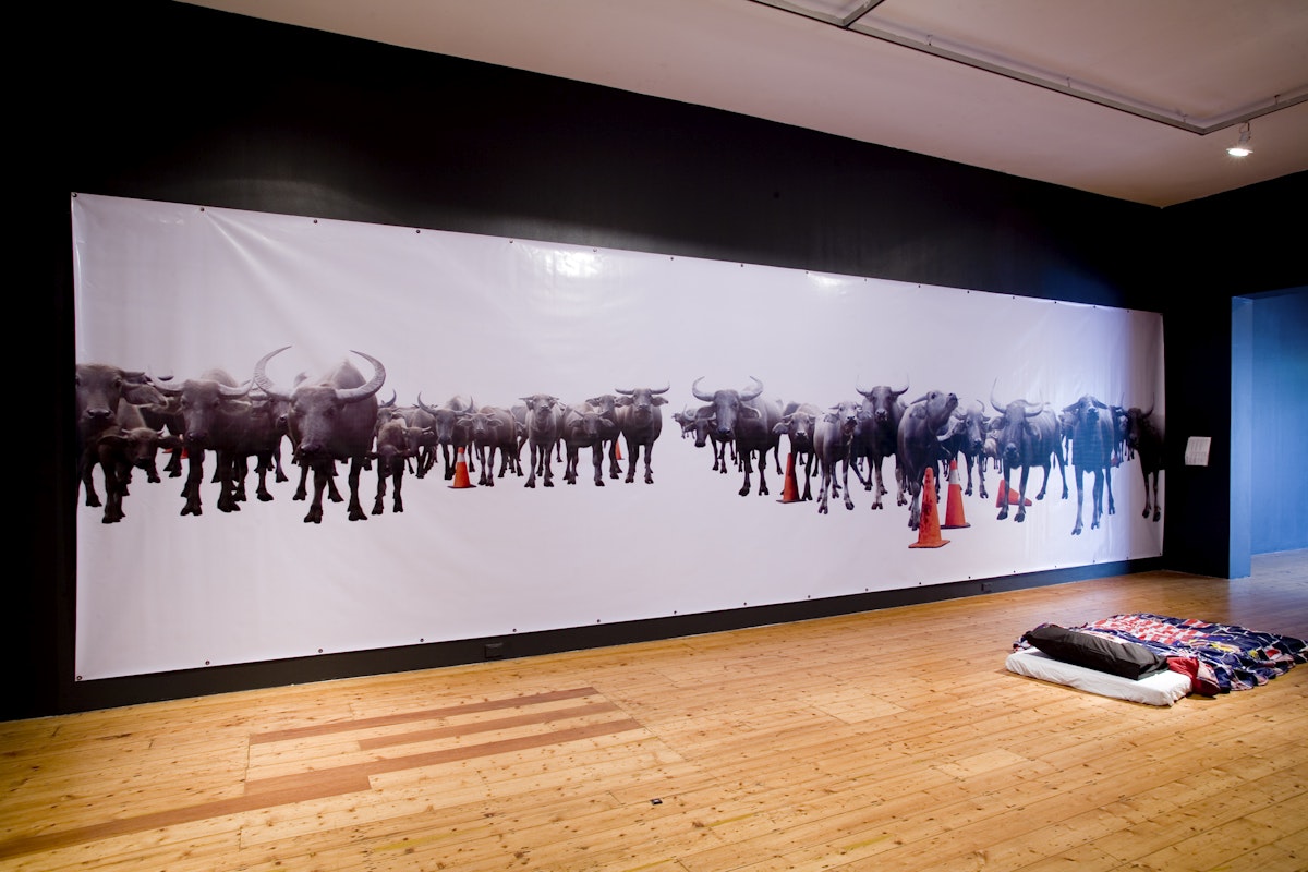 Installation view of The Indenpendence Project at 200 Gertrude Street