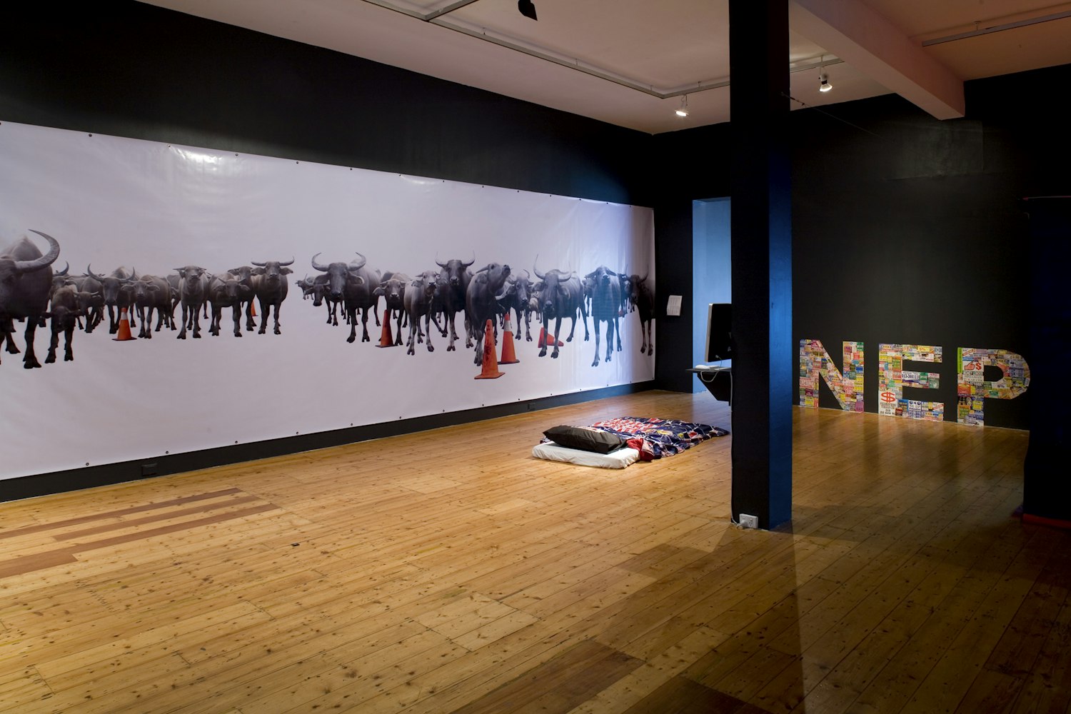 Installation view of The Indenpendence Project at 200 Gertrude Street 