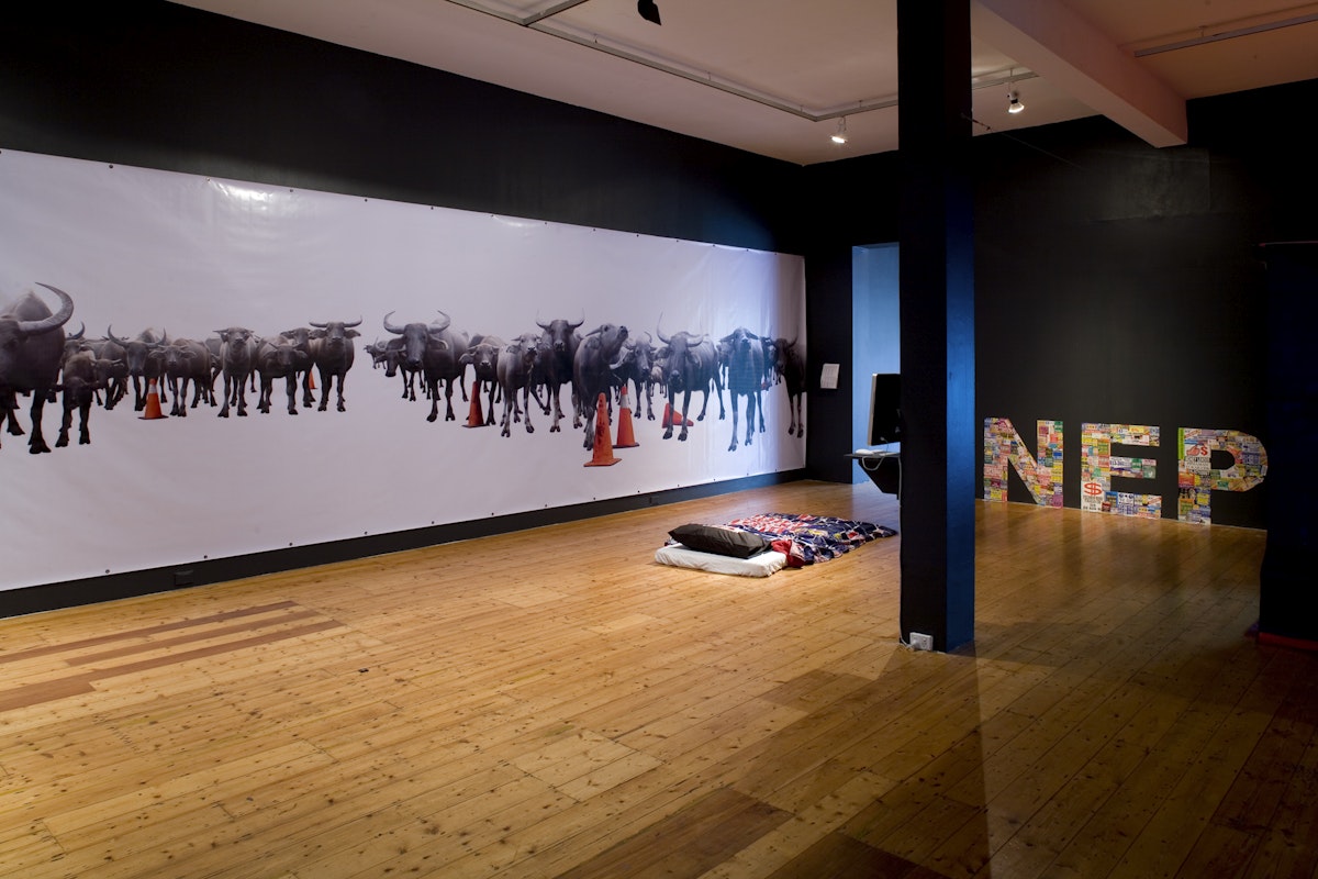 Installation view of The Indenpendence Project at 200 Gertrude Street