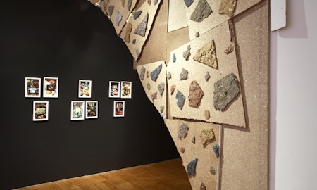 Installation view of 'Octopus 7: Don't Show Me Your Poetry' curated by Robert Cook at 200 Gertrude Street