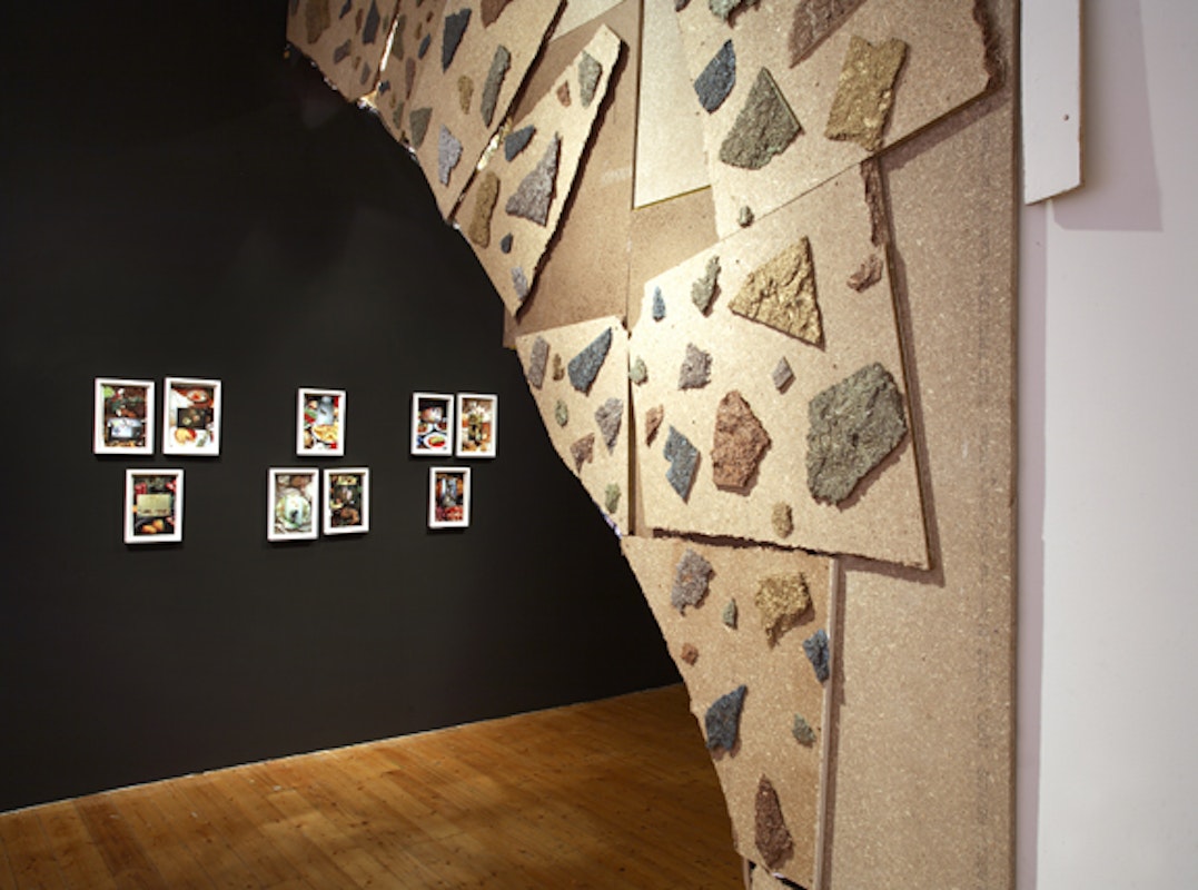 Installation view of 'Octopus 7: Don't Show Me Your Poetry' curated by Robert Cook at 200 Gertrude Street