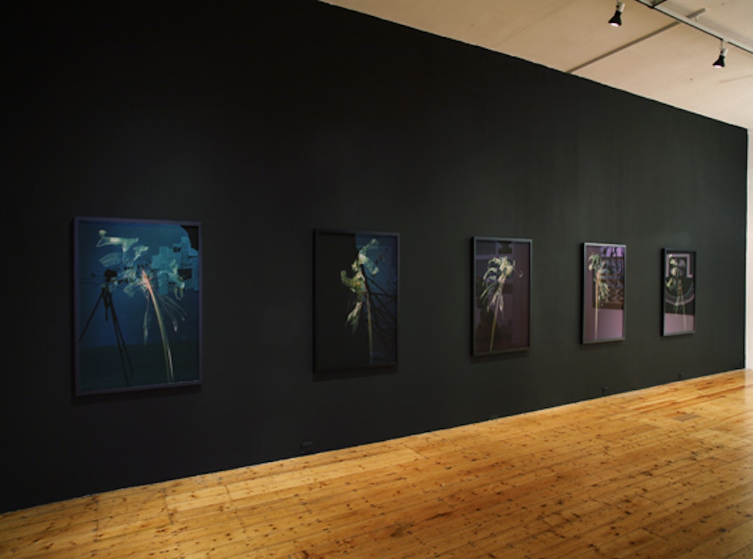 Installation view of 'Octopus 7: Don't Show Me Your Poetry' curated by Robert Cook at 200 Gertrude Street