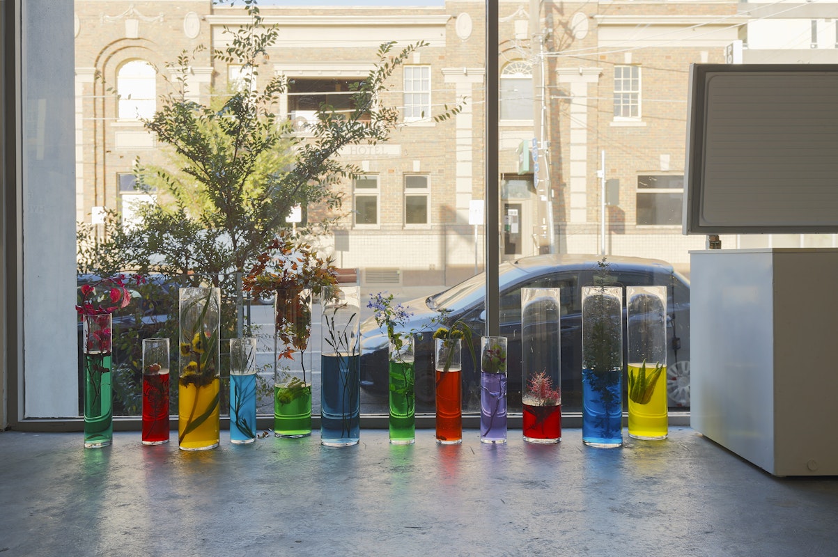 Installation view of Octopus 22: Baroquetopus curated by Tessa Laird, featuring work by Lichen Kelp, presented at Gertrude Contemporary 2022. Photo: Christian Capurro. 