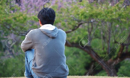 Stock image supplied