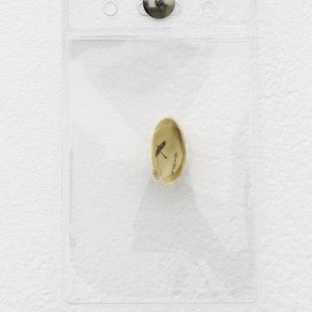 Installation view, Jason Phu, the really bad day john had, presented at Gertrude Glasshouse, 2022. Photo: Christian Capurro