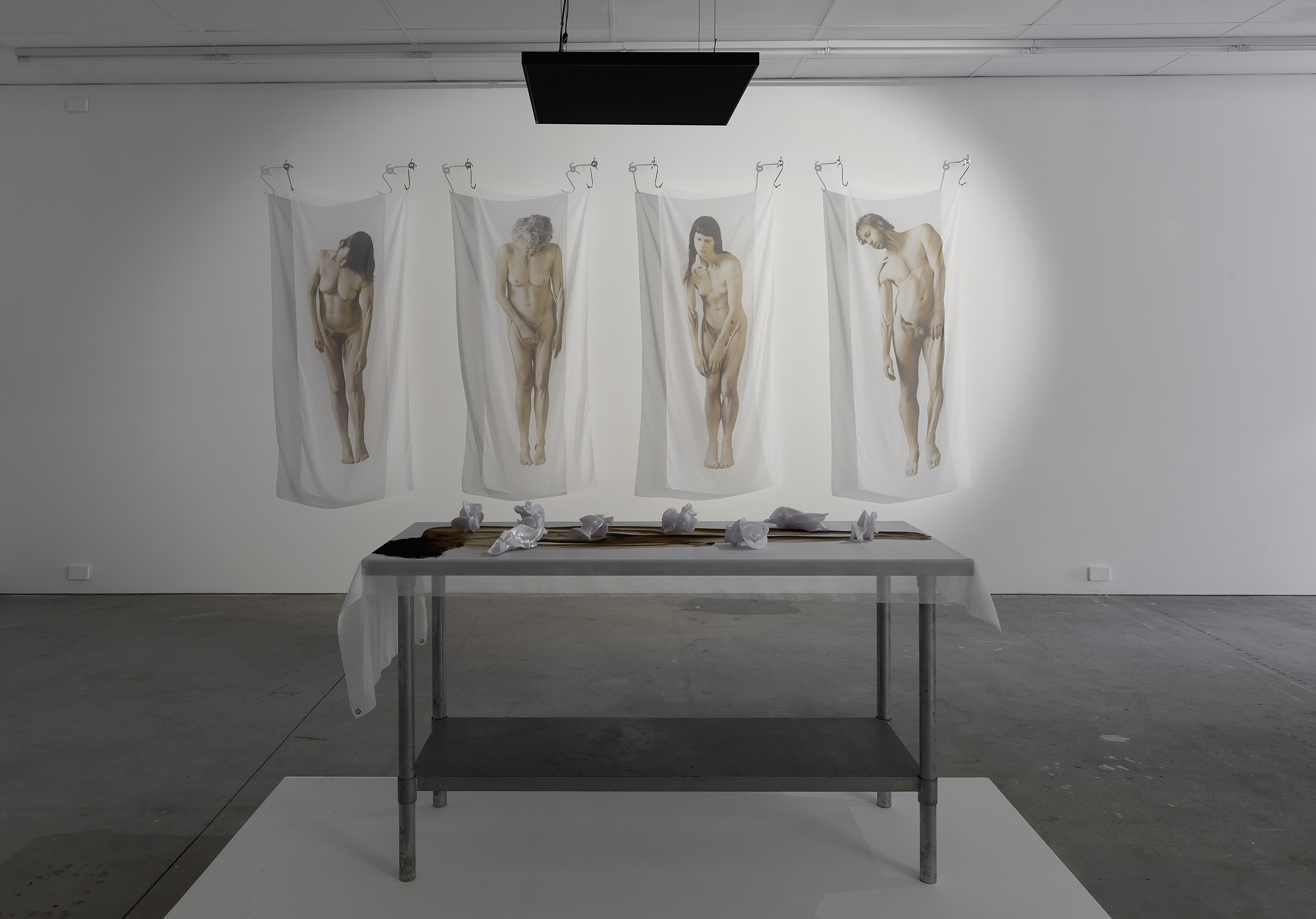 Installation view of Lilian Steiner, 'Flesh and Diamonds', Gertrude Contemporary, 2023. Photo: Christian Capurro.