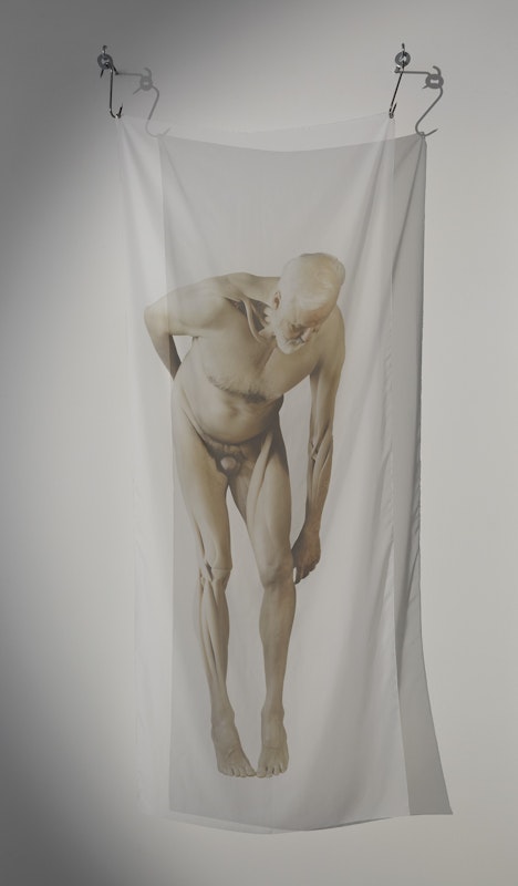 Installation view of Lilian Steiner, 'Flesh and Diamonds', Gertrude Contemporary, 2023. Photo: Christian Capurro.