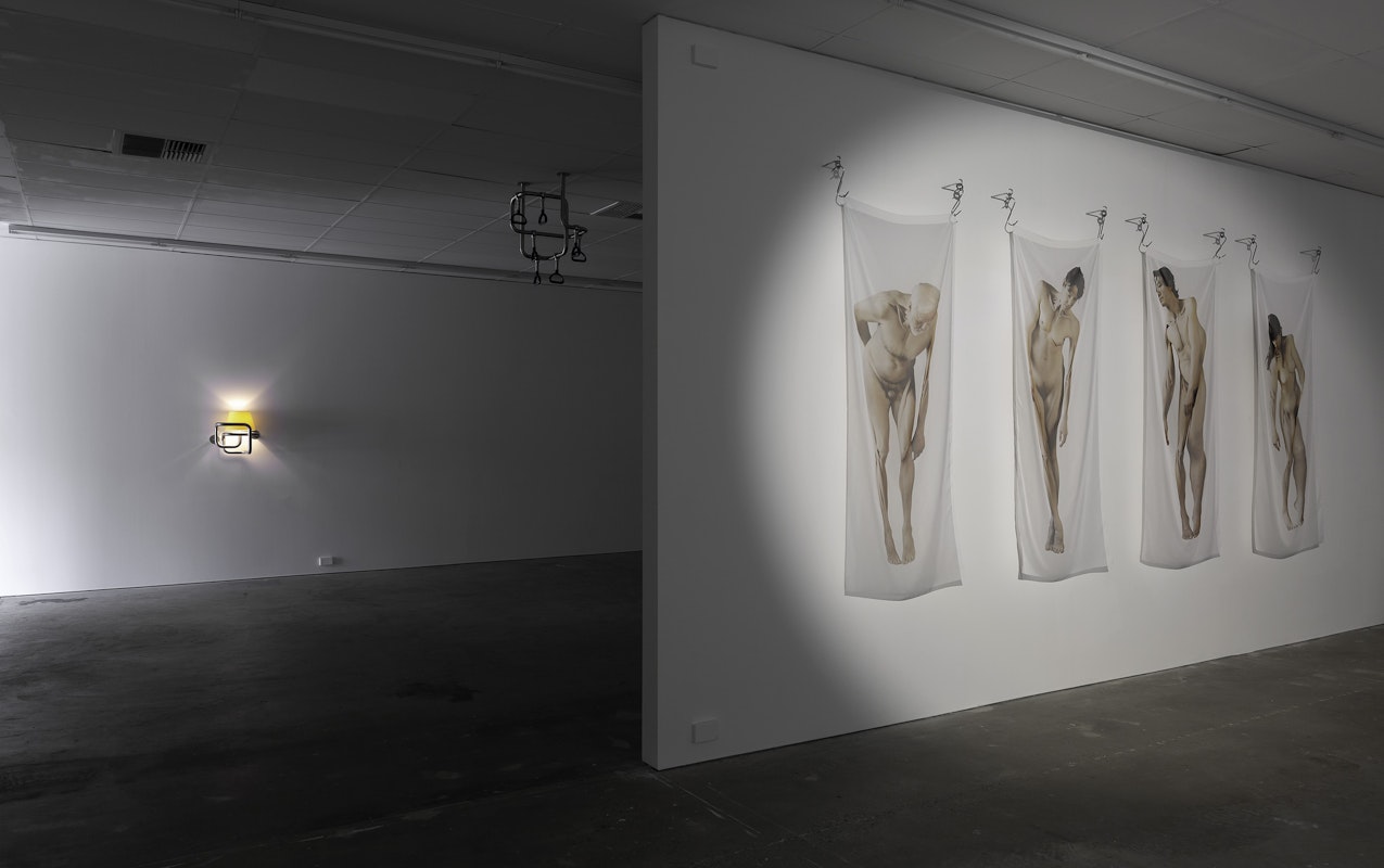 Installation view of Lilian Steiner, 'Flesh and Diamonds', Gertrude Contemporary, 2023. Photo: Christian Capurro.