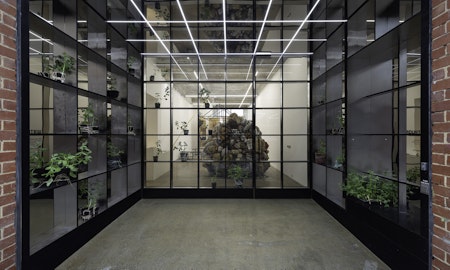 Installation view of Habitat by ShrewD Collective (Chris Fontana, Tracey Lamb, Amanda Laming, Nina Sanadze, Mimmalisa Trifiló), presented at Gertrude Glasshouse, 2023. Photo: Christian Capurro.