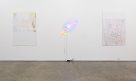 Installation view of Elyas Alavi, Another Kind/دیگرگونه, presented at Gertrude Glasshouse, 2023. Photo: Christian Capurro